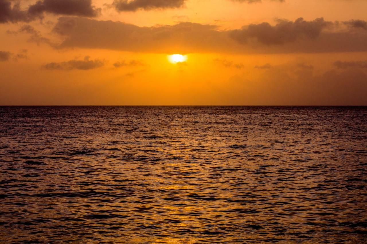 Solare Sai Ecohotel (Adults Only) San Andrés Eksteriør bilde